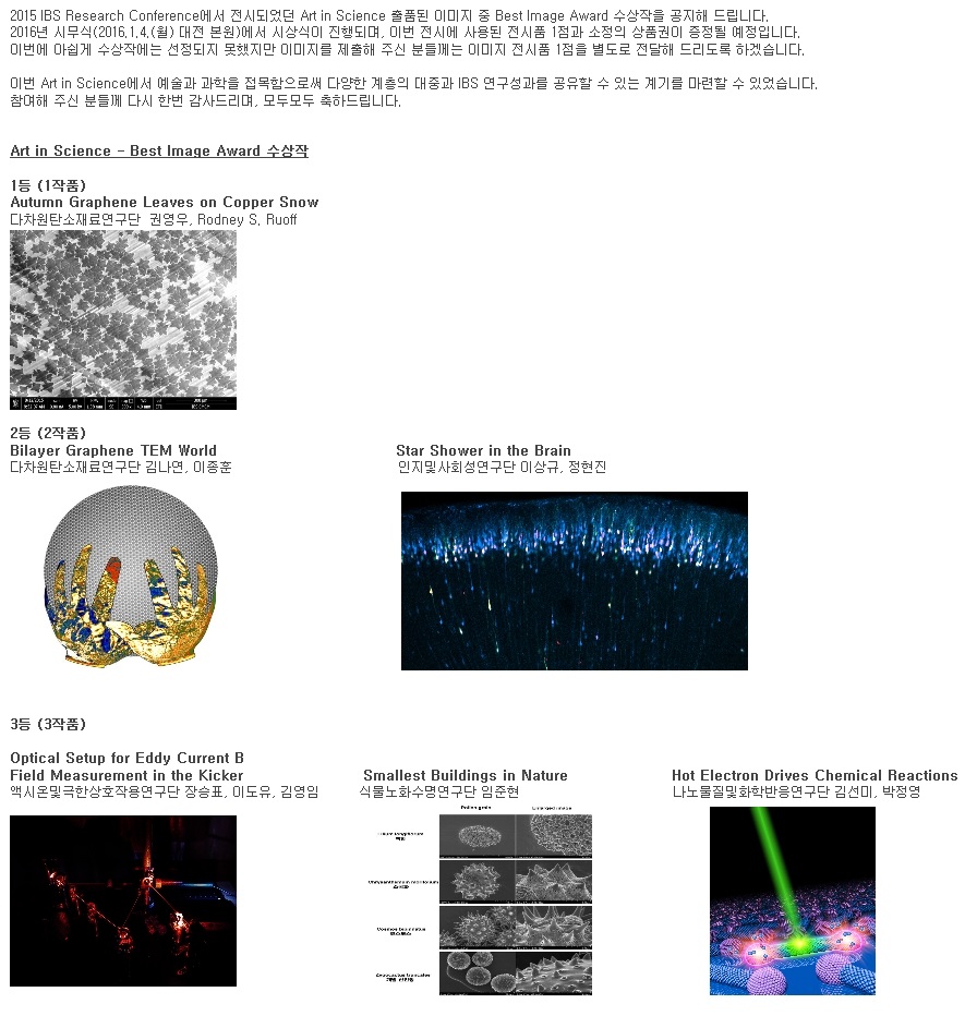 Best Image Award - 3rd Place @ The 2015 IBS Research Conference (November 18 - 19, 2015) 사진