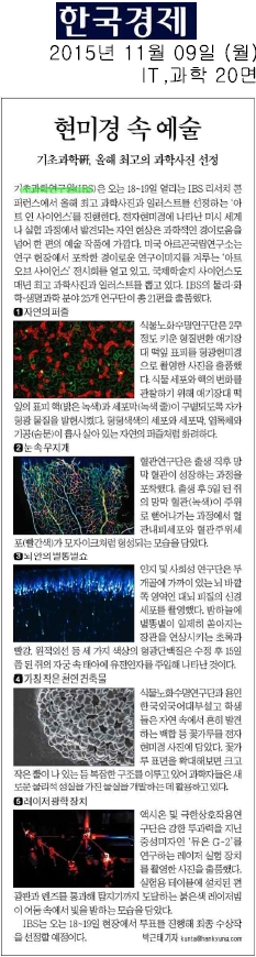 CAPP 레이저 실험 이미지 - 한국경제 신문기사 (2015년 11월 9일) 사진
