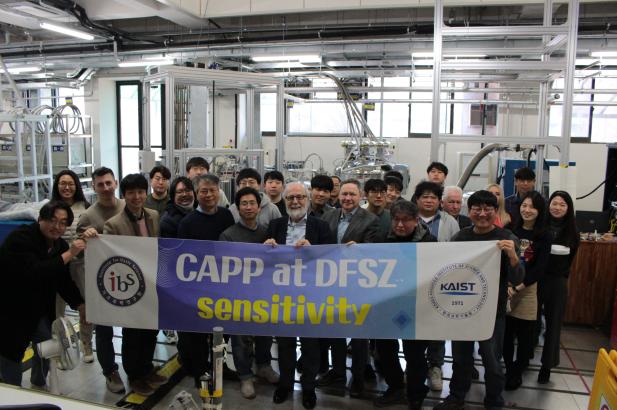 CAPP at DFSZ sensitivity
