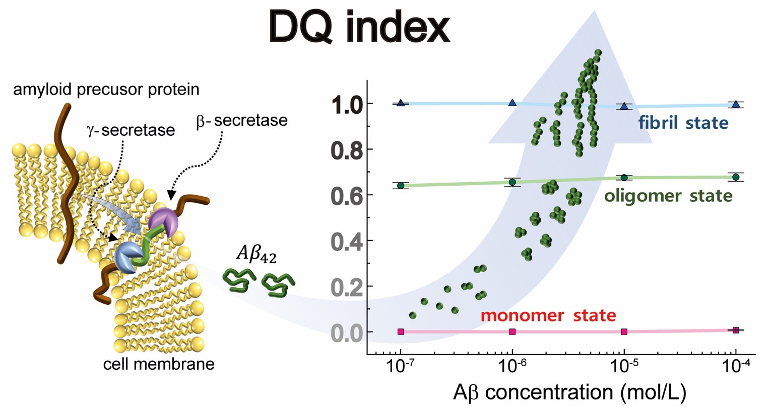 Identifying the toxic protein fibrillization state in the brain tissue.